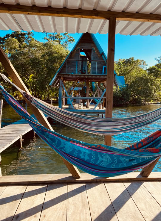 Jungle Cabin