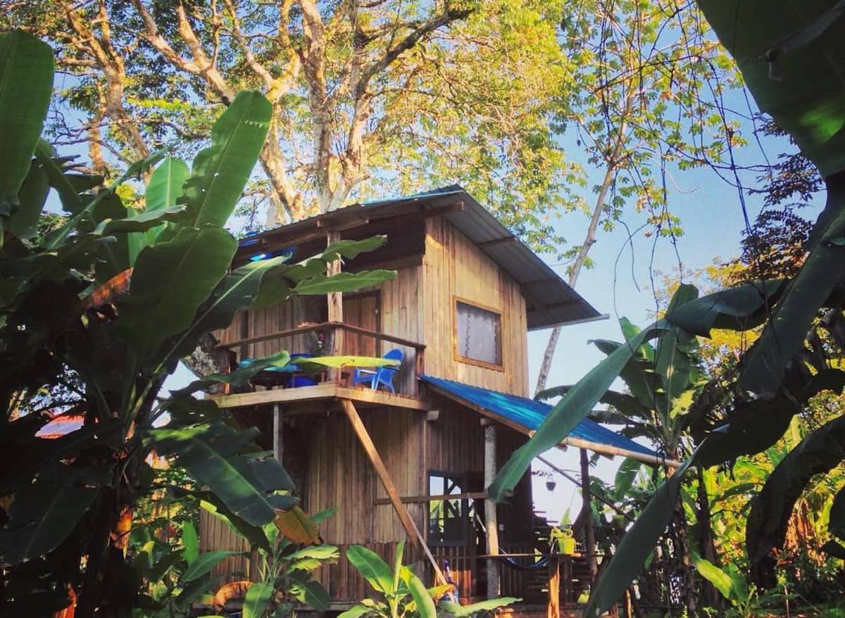 Treehouse XL 5